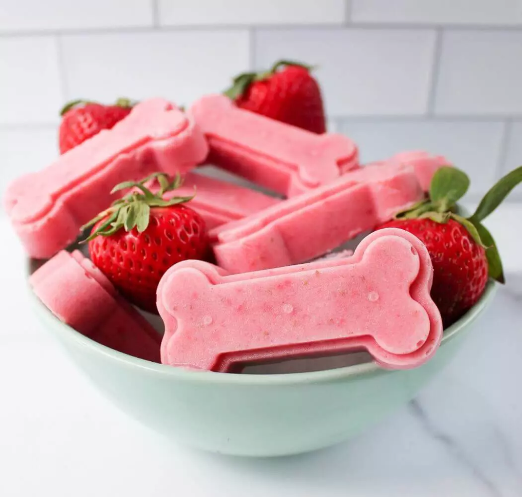 Can Dogs Have Strawberries