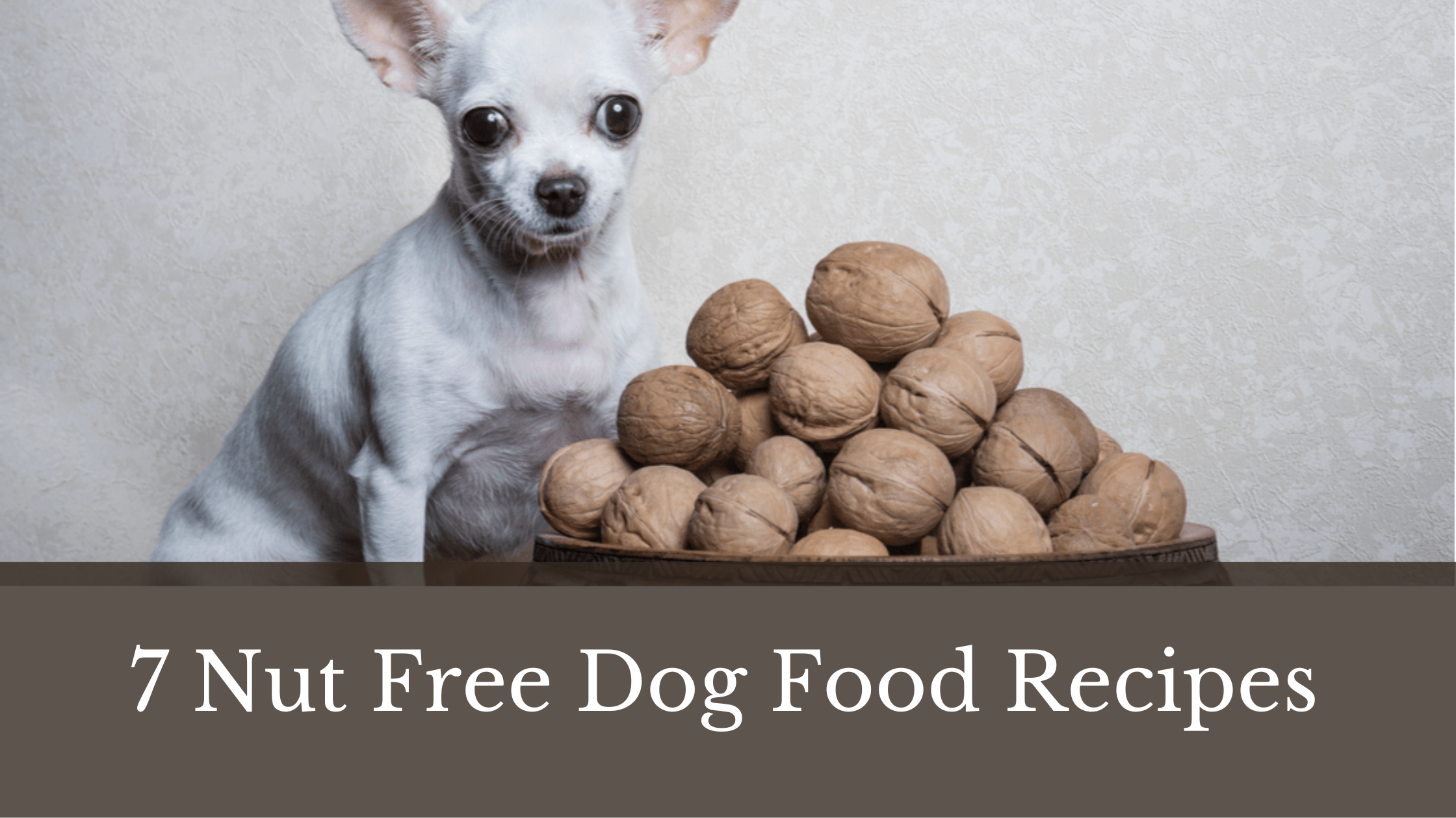 7 Easy Recipes For Nut Free Dog Treats