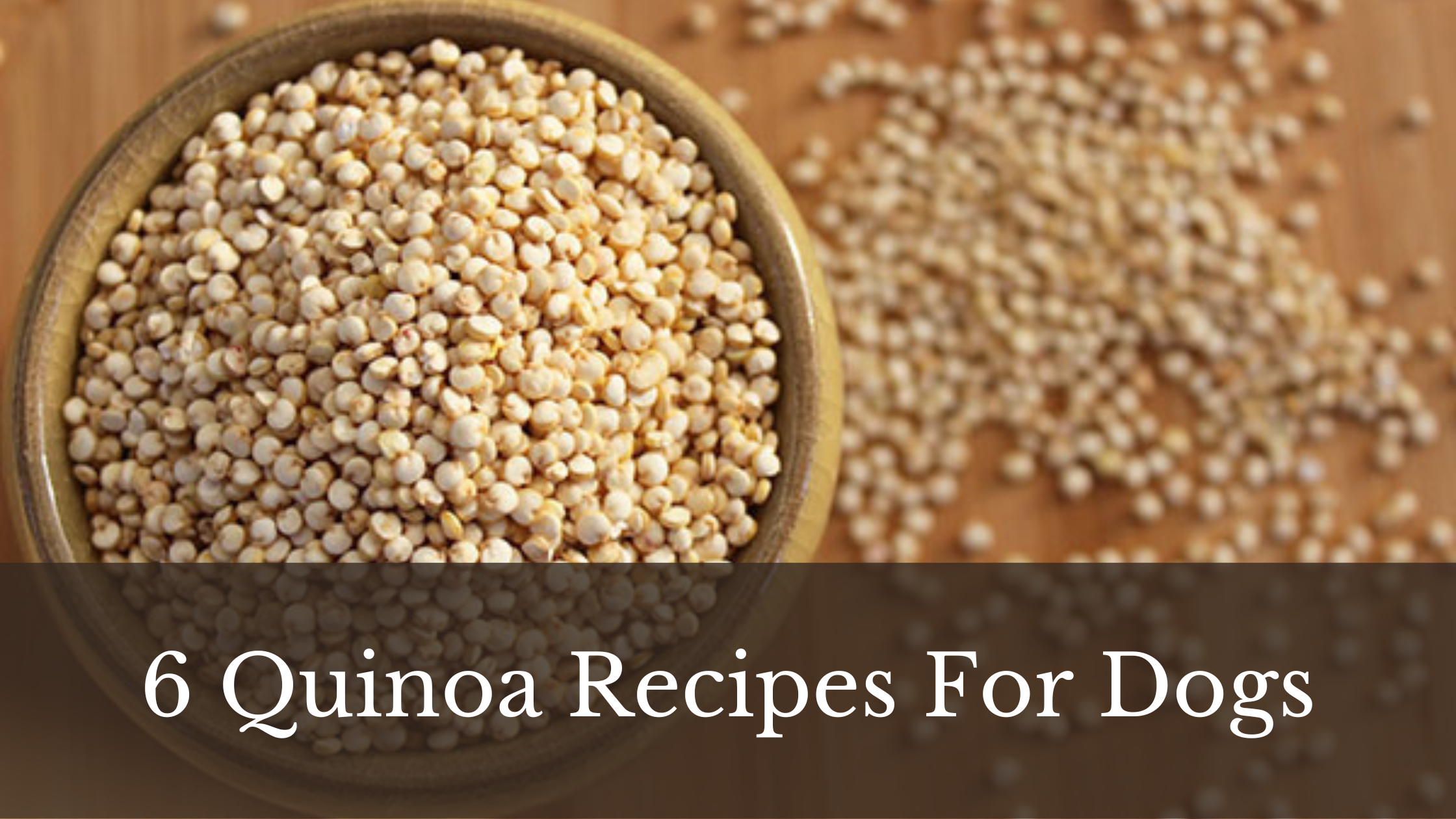 6 Quinoa Recipes for Dogs – Tasty and Simple!