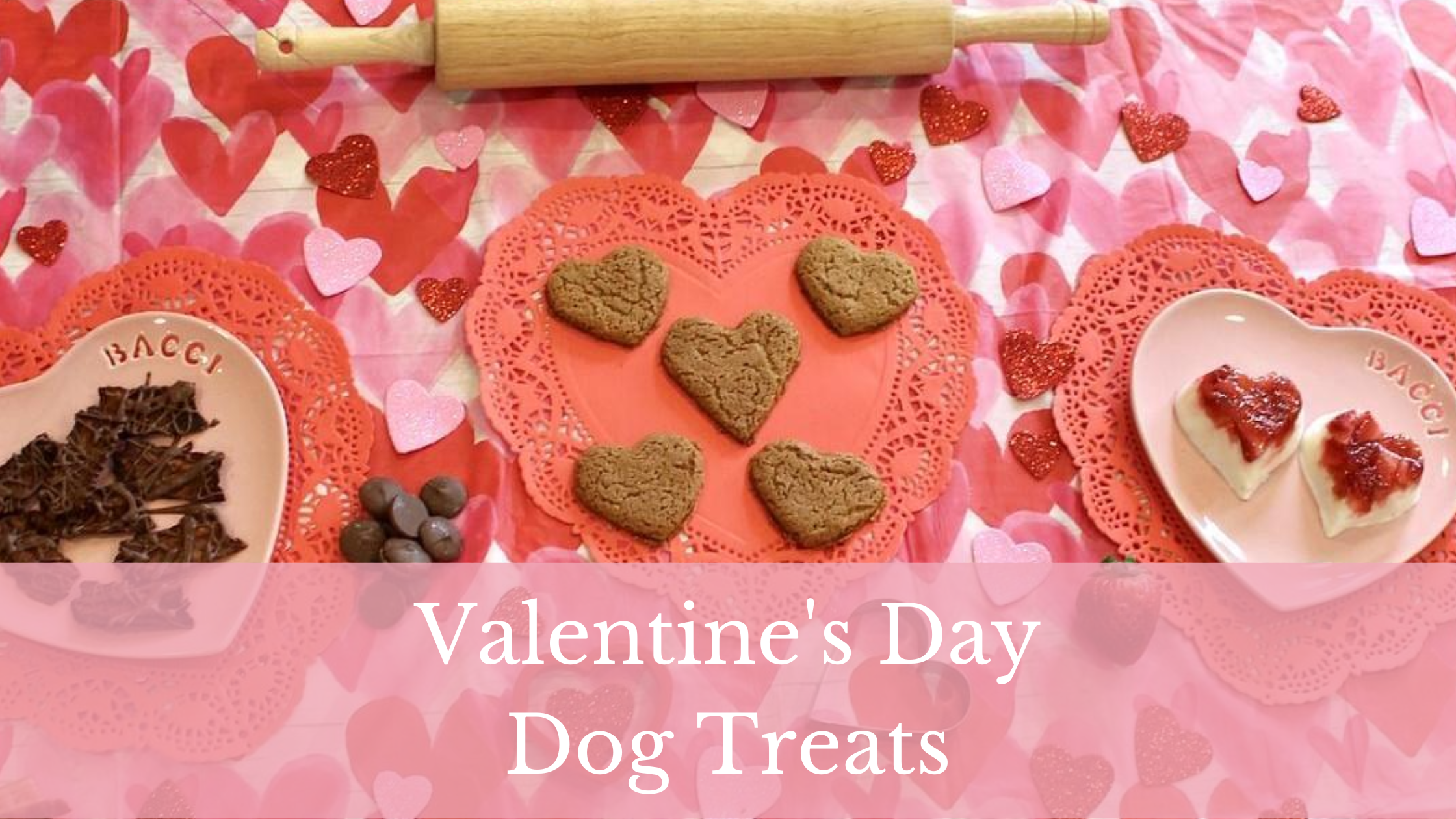 7 Delicious Valentine’s Day Dog Treat Recipes For Your Pup