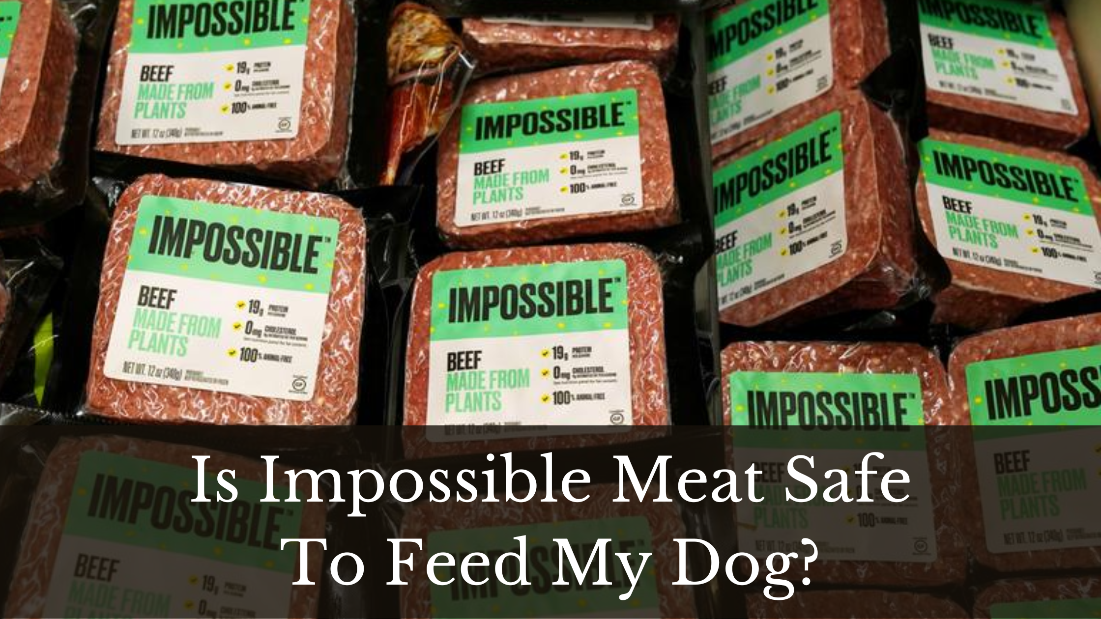 can dogs eat impossible meat