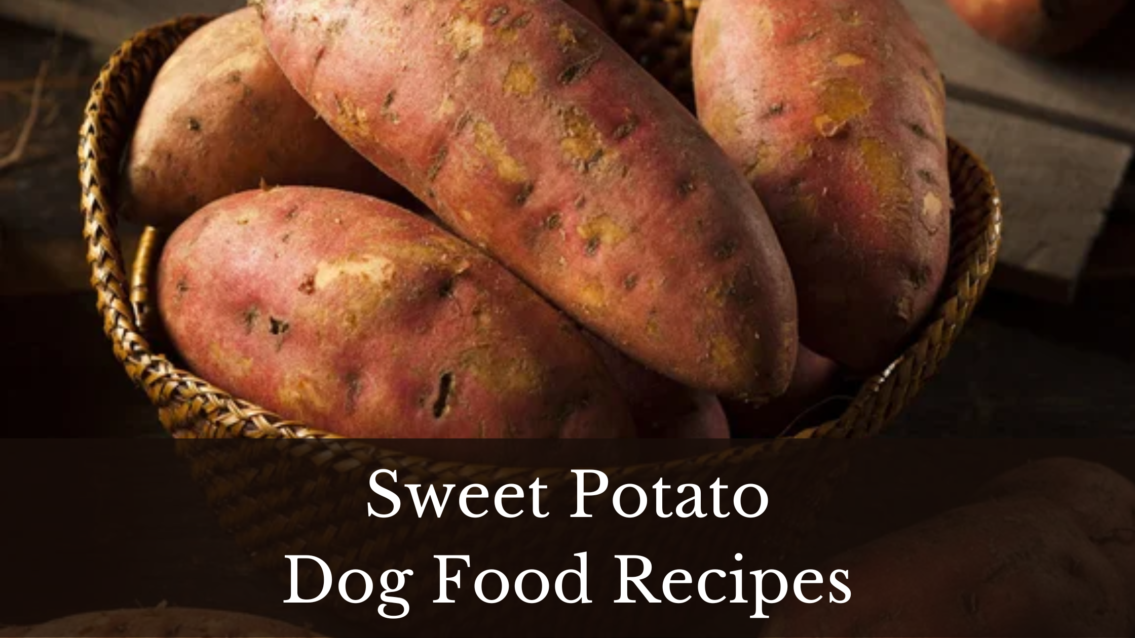 4 Delicious Sweet Potato Dog Food Recipes