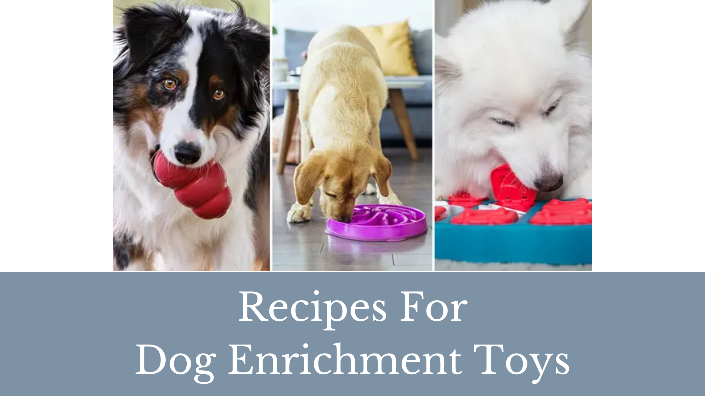3 Recipes For Dog Enrichment Toys