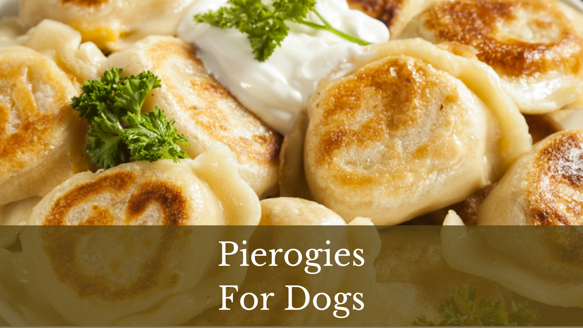 Can Dogs Have Pierogies? Our Best Advice