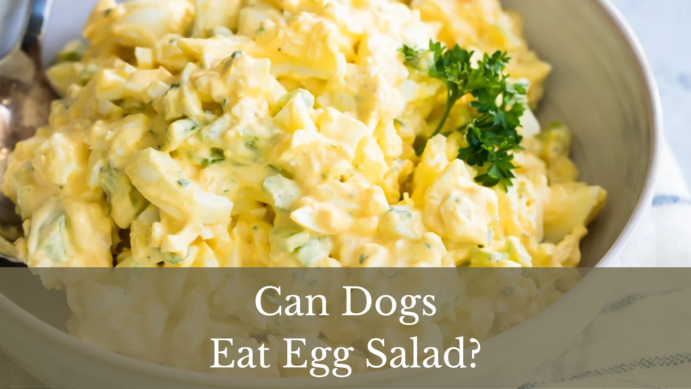 Can Dogs Have Egg Salad
